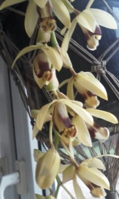 2015-09-20 10.00.56.jpg