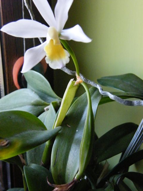DSCF7482.jpg