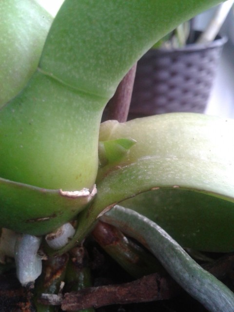 2015-10-05 07.39.08 (Copy).jpg