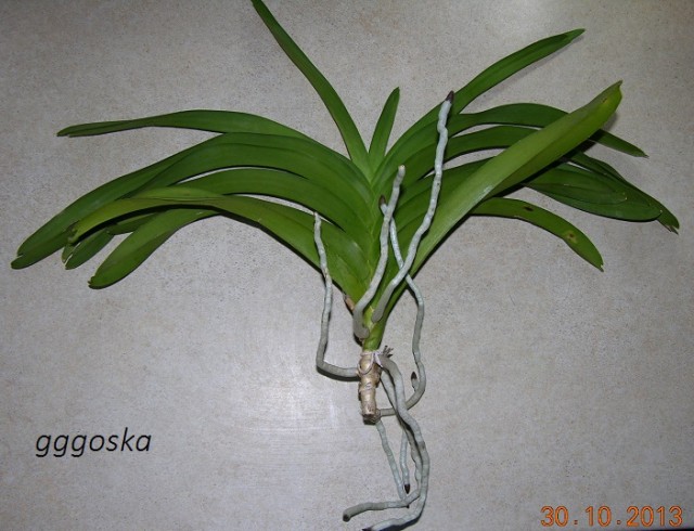 DSCN3769.JPG