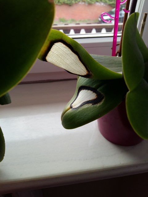 20160424_130840 1.jpg