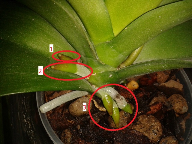 2016-04-23 21.24.13.jpg