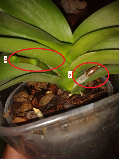 2016-04-23 21.20.13.jpg