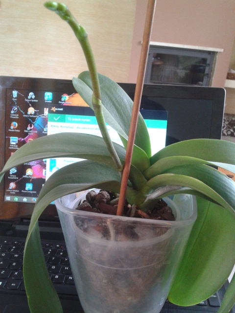 2016-05-08 10.06.51.jpg