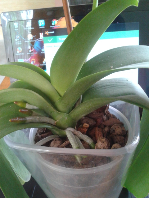 2016-05-08 10.07.48.jpg