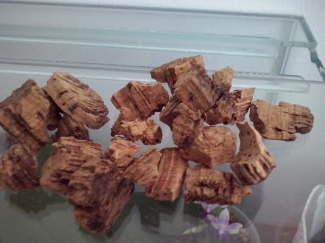 podłoże z debu korkowego.jpg