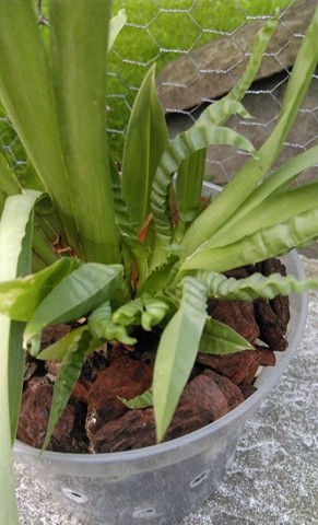 IMAG0347 (Kopiowanie).jpg