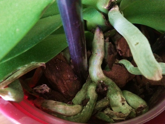 20170210_134505.jpg