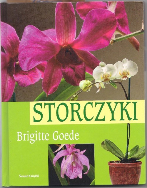 C. messangeana_I.jpg