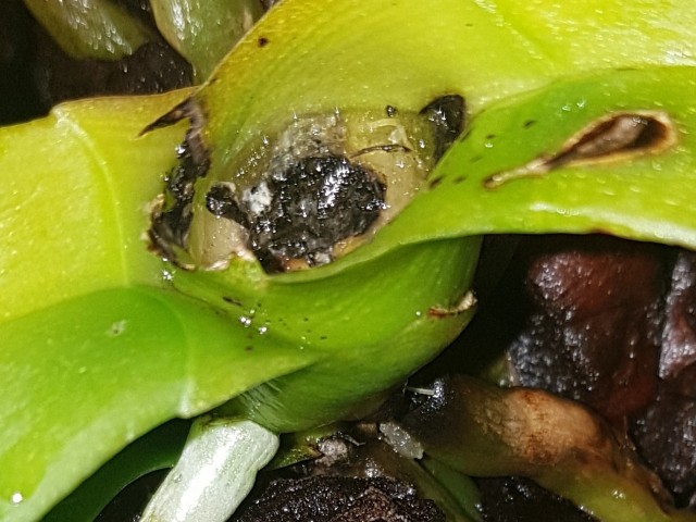 20180624_180539.jpg