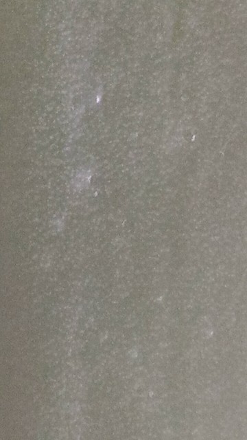 Liść - zbliżenie 1.jpg