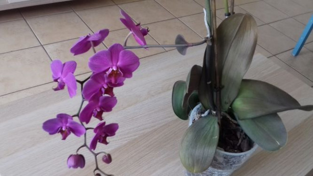 20200514_123711 (2.jpg