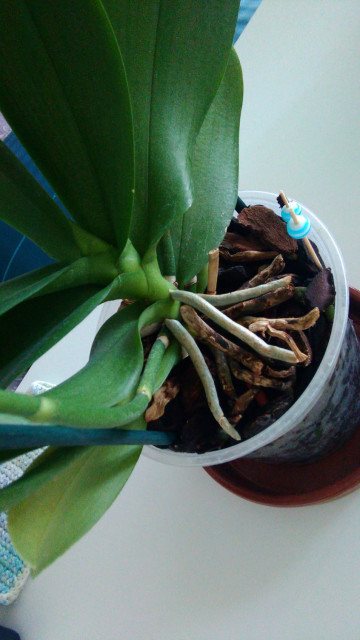 WhatsApp Image 2020-08-10 at 12.09.58.jpeg