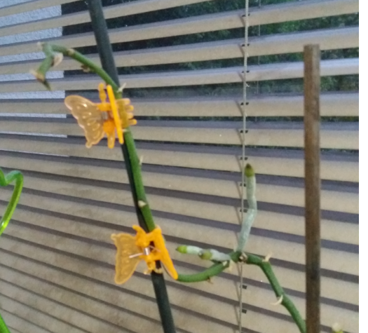 Zrzut ekranu 2021-06-02 213336.png