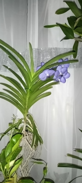 IMG20221203182121 1.jpg