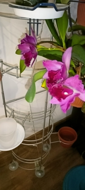 IMG20221213174609 1.jpg