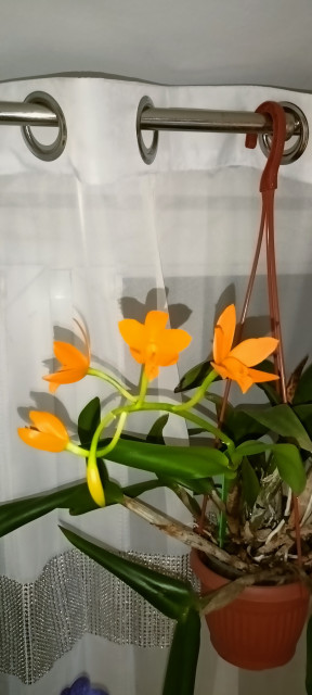 IMG20221227153818 1.jpg