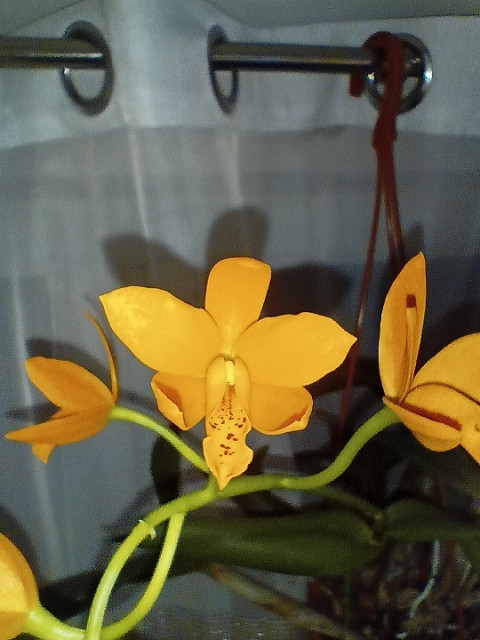 IMG20221227153848 1.jpg