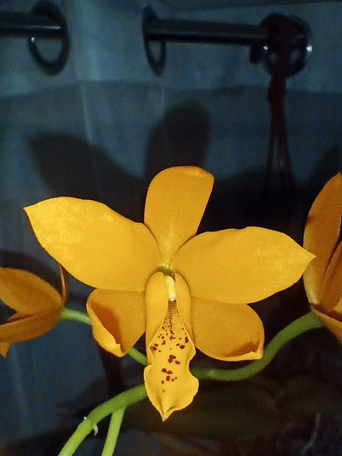 IMG20221227153855 1.jpg