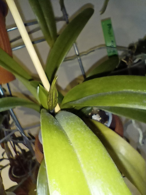 IMG20221227154001 1.jpg