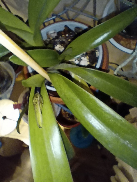 IMG20221227154008 1.jpg