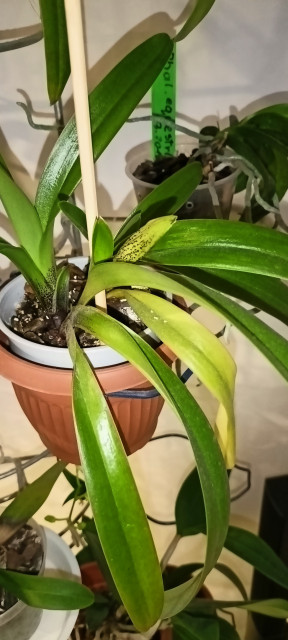 IMG20221227154025 1.jpg