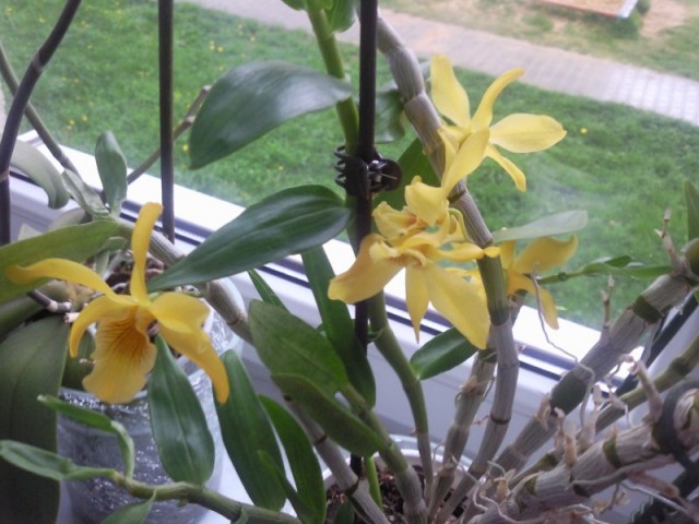 Copy of Zdjęcie013.jpg