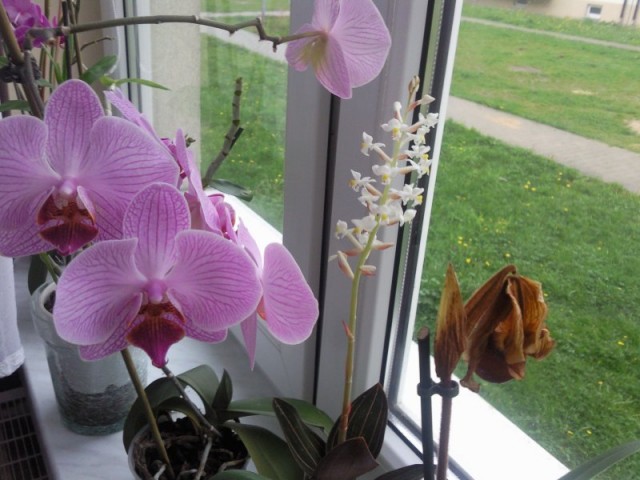 Copy of Zdjęcie021.jpg