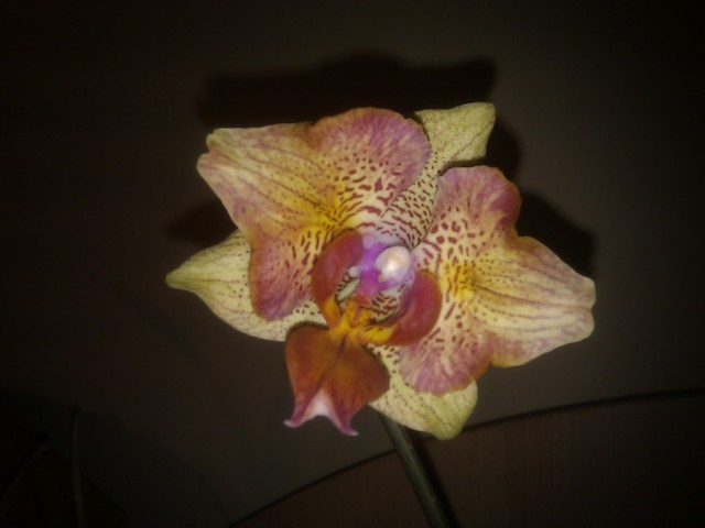 C360_2011-04-28 20-55-23.jpg