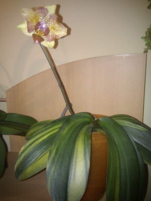 C360_2011-04-28 21-05-36.jpg