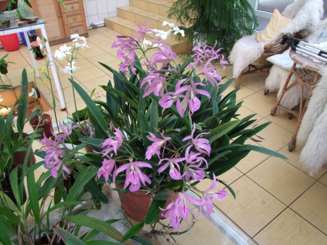 I na zakończenie.jpg