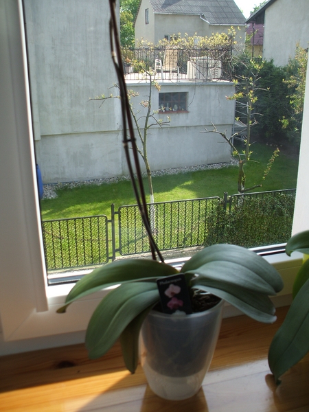 DSCF2307 [800x600].JPG