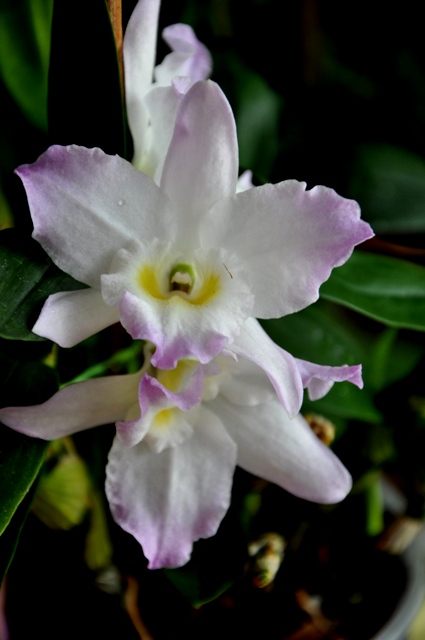 DSC_0322 - Kopia.JPG