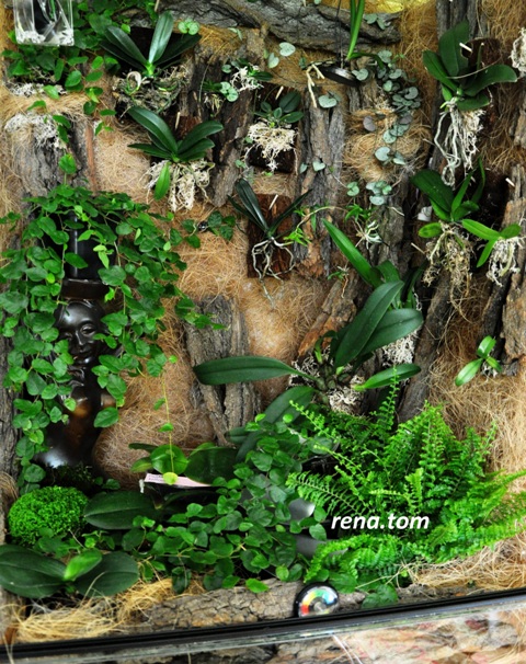 DSC_0596 - Kopia (3) - Kopia.JPG