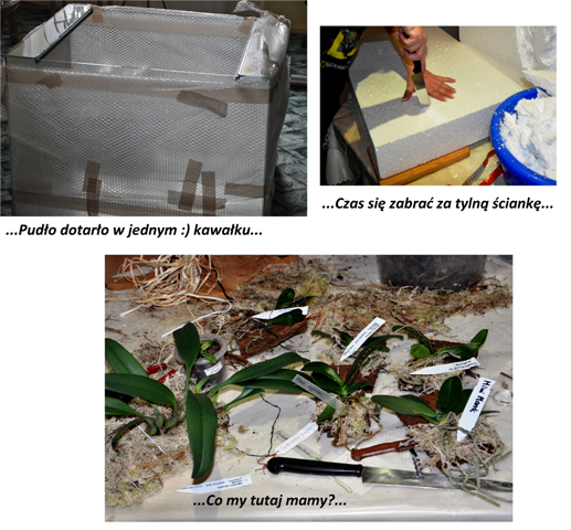 Tak się zaczęło...1.png