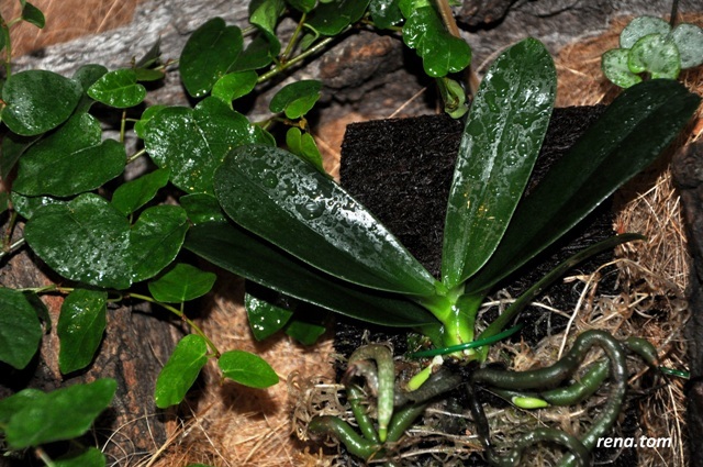 DSC_0334 - Kopia.JPG