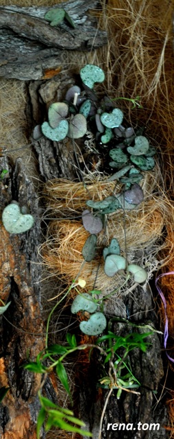 Maskowanie kabla - Kopia.JPG