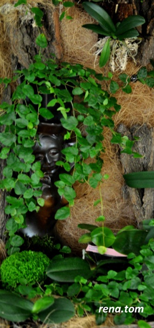 DSC_0591 - Kopia.JPG