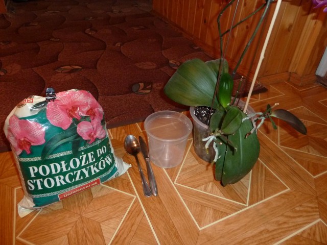 faza przygotowania potrzebnych materiałów.JPG