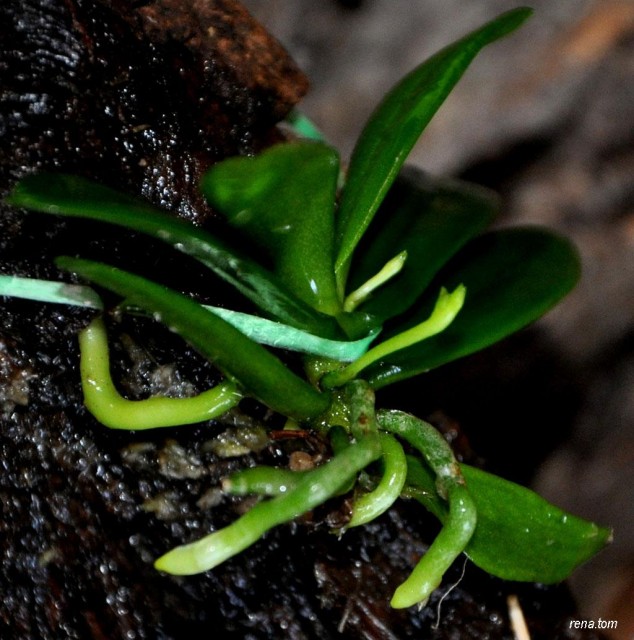 DSC_1122 - Kopia.JPG