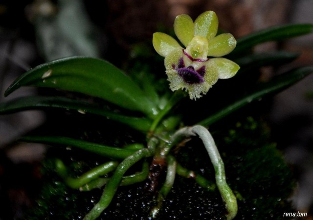 DSC_0067 - Kopia - Kopia.JPG