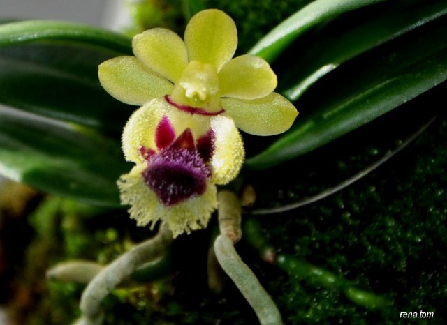 DSC_0452 - Kopia - Kopia.JPG