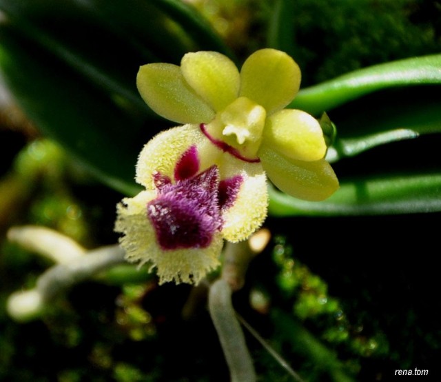 DSC_0547 - Kopia - Kopia.JPG