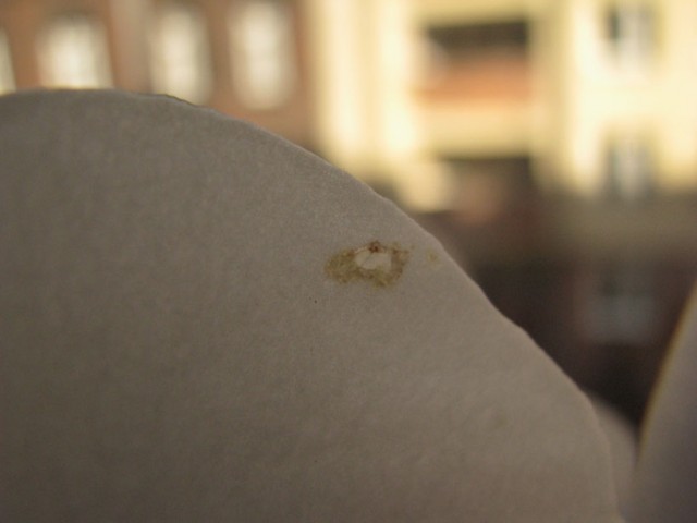 IMG_1711.JPG