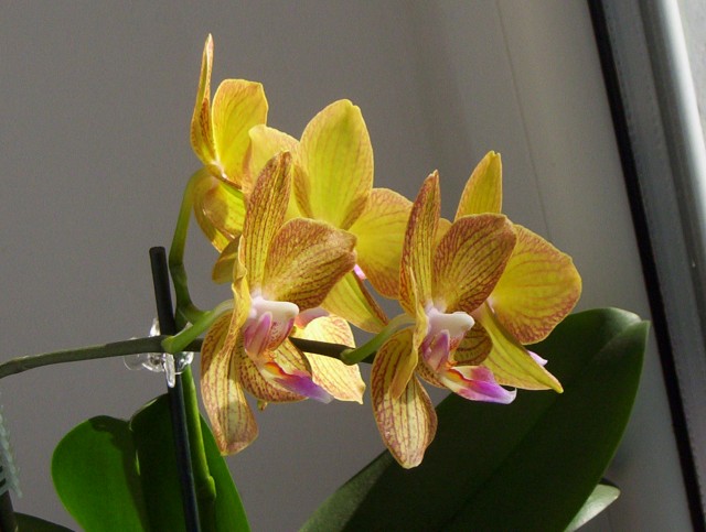 3333333333333333333333333333333333 004.jpg