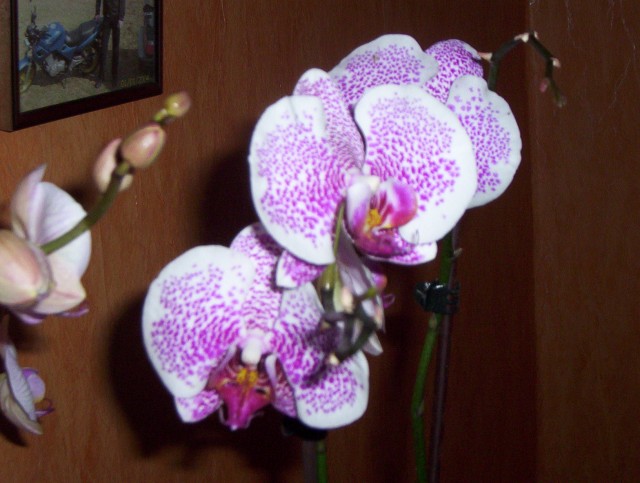 3333333333333333333333333333333333 010.jpg