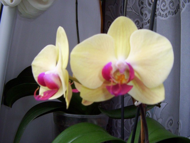 3333333333333333333333333333333333 013.jpg