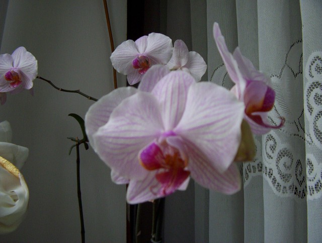 3333333333333333333333333333333333 014.jpg