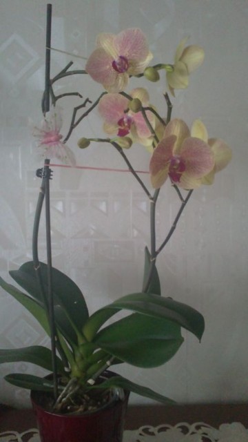20111012144.jpg