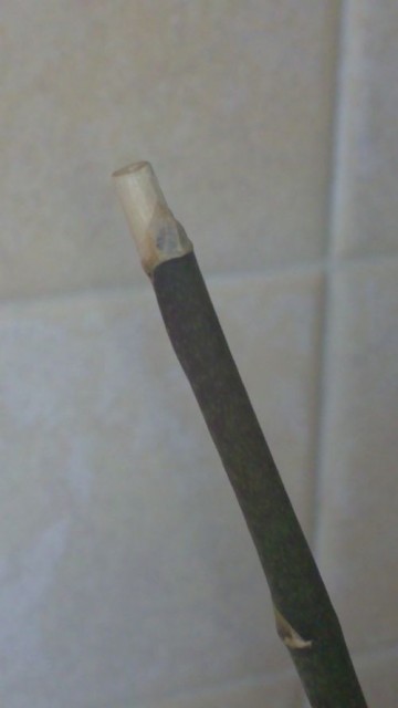 20111012145.jpg